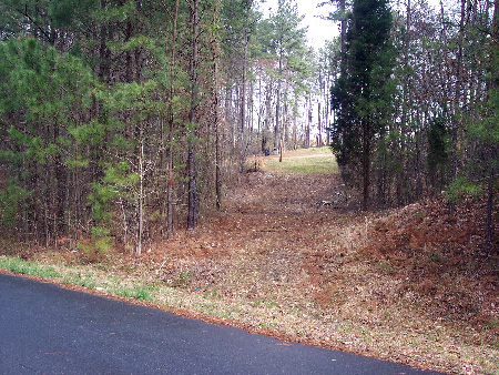 Lot Clearing and Pathways